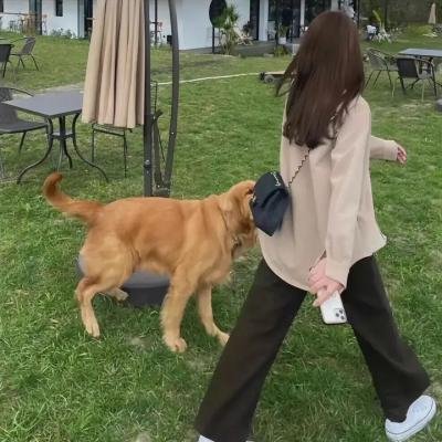 捉鬼大师