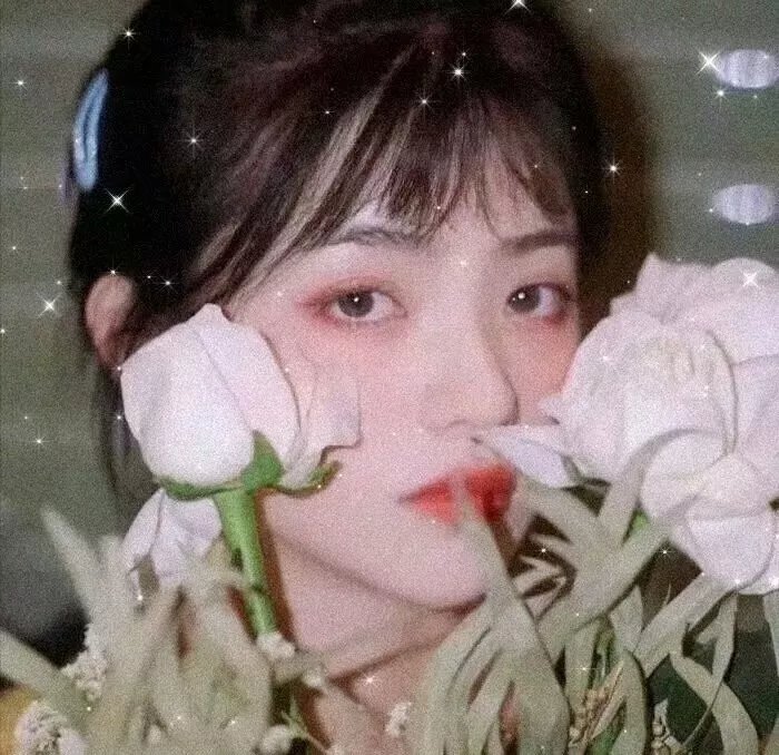 浪荡性世代